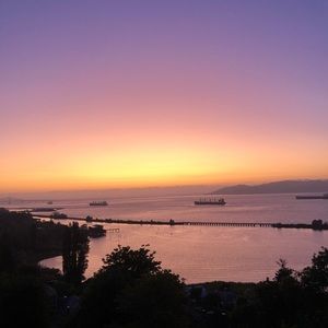 Meet your Posher, Kylee